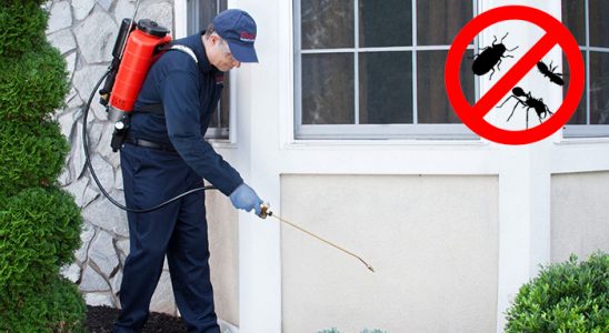 Gümüşpala Böcek ve Haşere İlaçlama böcek ilaçlama ve haşere kontrolü — ilaclama-tr.com